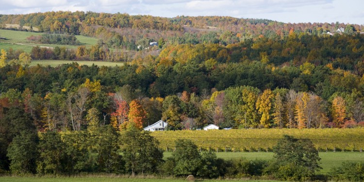 Finger Lakes